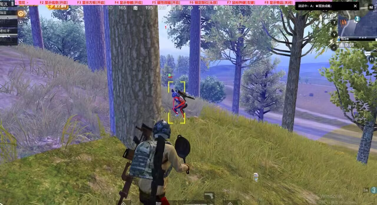 和平精英辅助【火焰鸟直装V6.0终极修复版】射线透视 准星聚点 空投透视 人物变大 显示手持 透视雷达